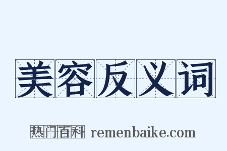 美容反义词是什么意思的图片